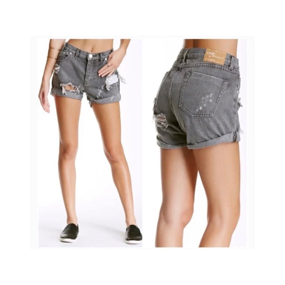 One Teaspoon Gray Chargers Relaxed Fit Shorts 26